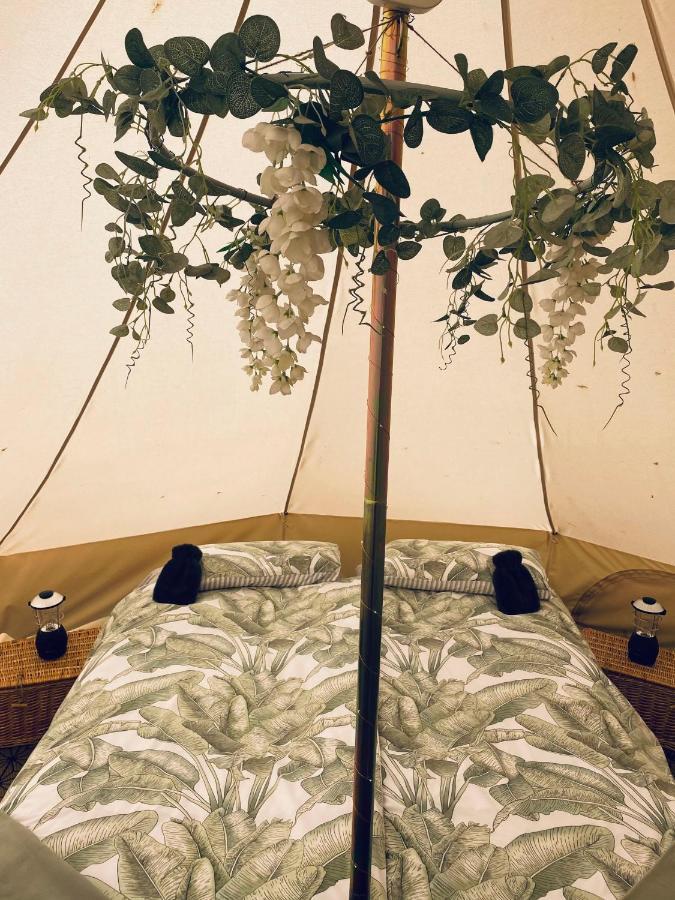 Duneden Belle Glamping Randalstown Exterior foto